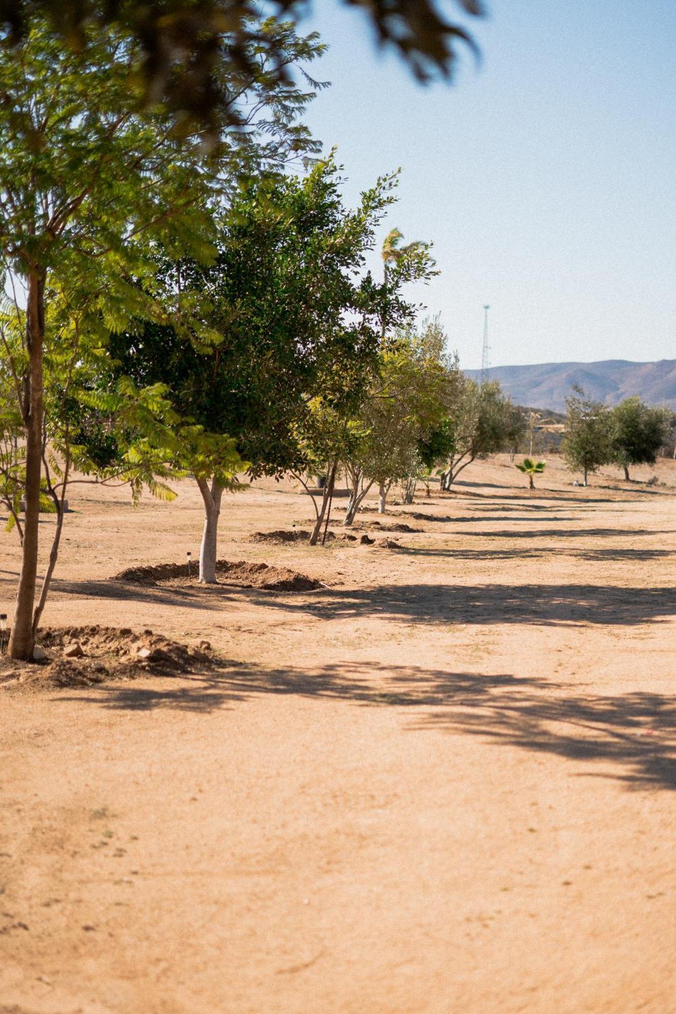 Villa Victoria, Valle De Guadalupe Eksteriør bilde