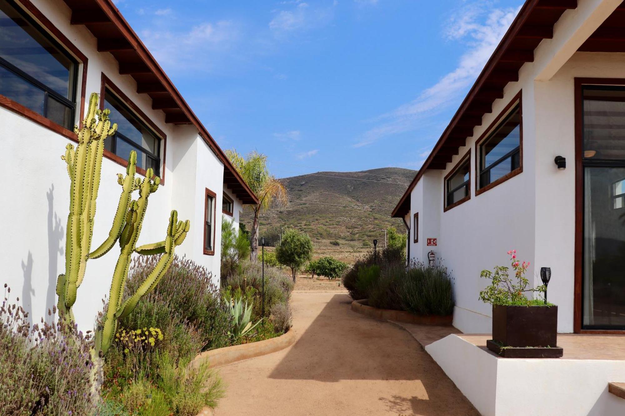 Villa Victoria, Valle De Guadalupe Eksteriør bilde
