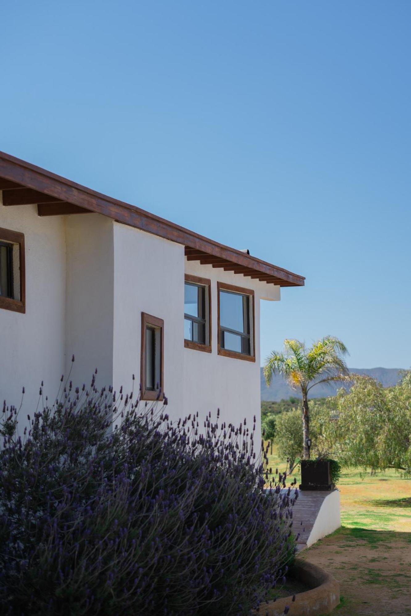 Villa Victoria, Valle De Guadalupe Eksteriør bilde