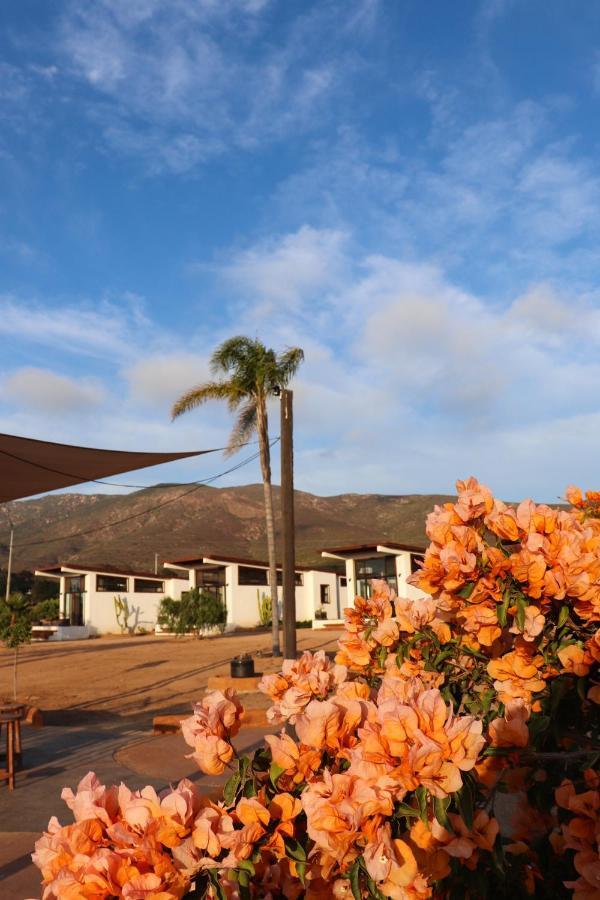 Villa Victoria, Valle De Guadalupe Eksteriør bilde